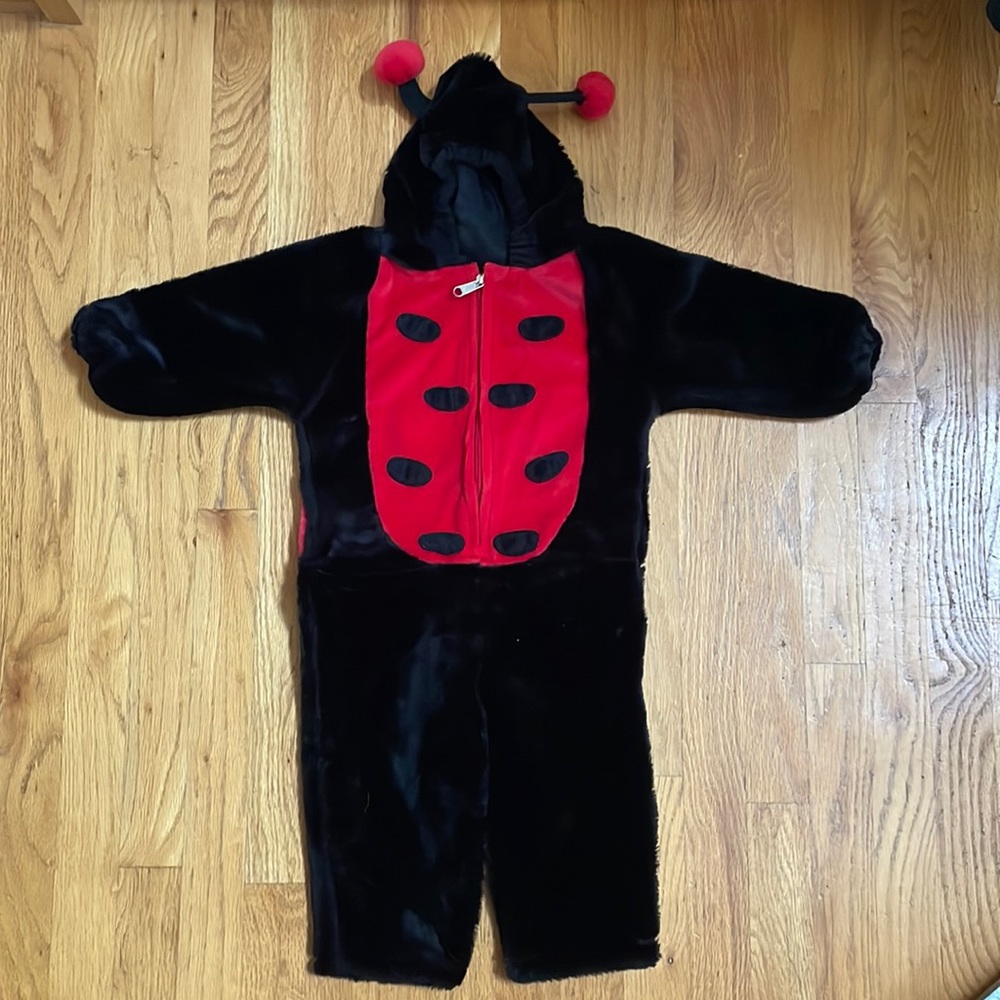 Lady bug costume
